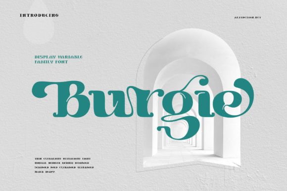 Burgie: A Bold, Detailed Display Font Worth Testing